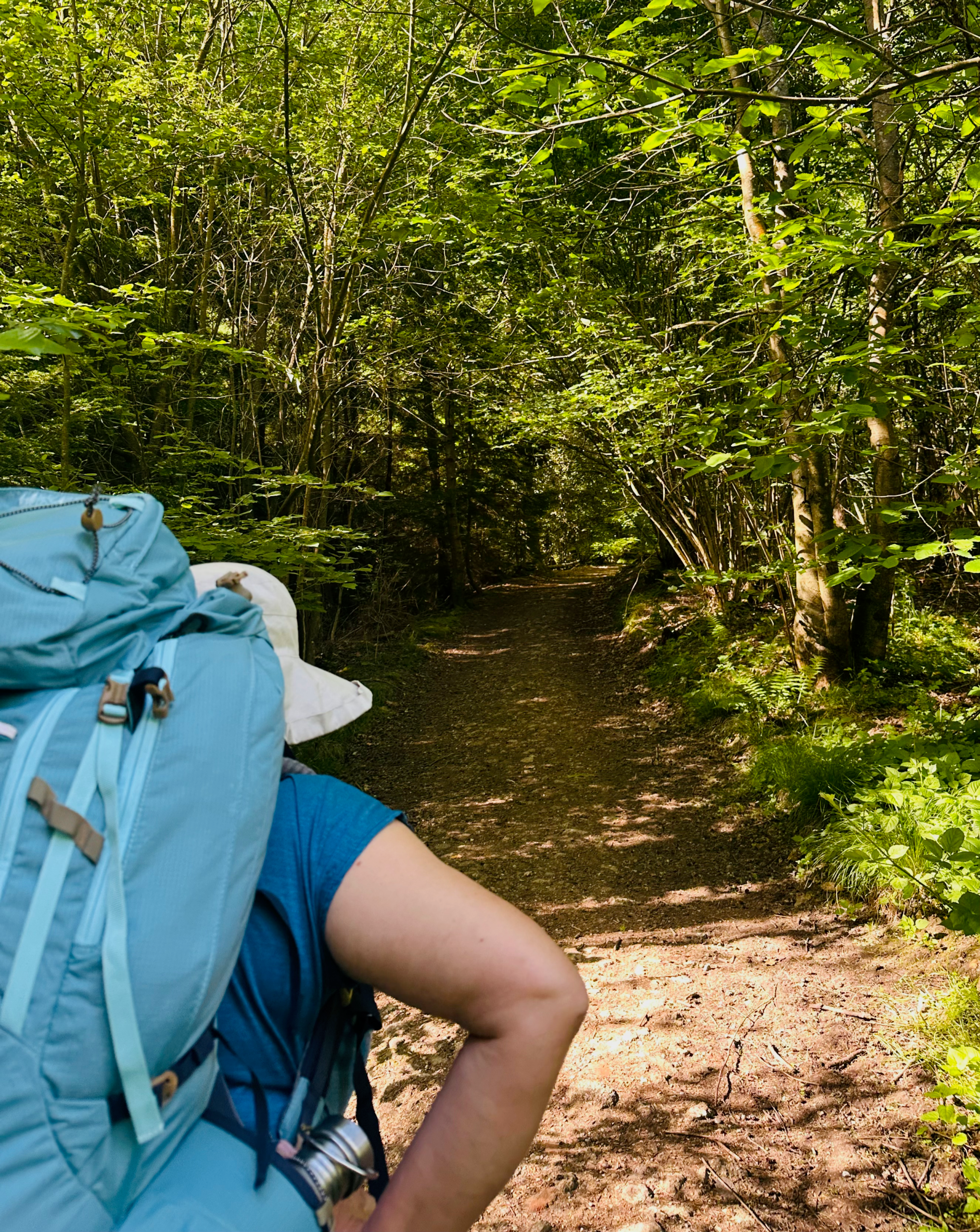 Pilgrims For The First Time – Walking The St James’ Way